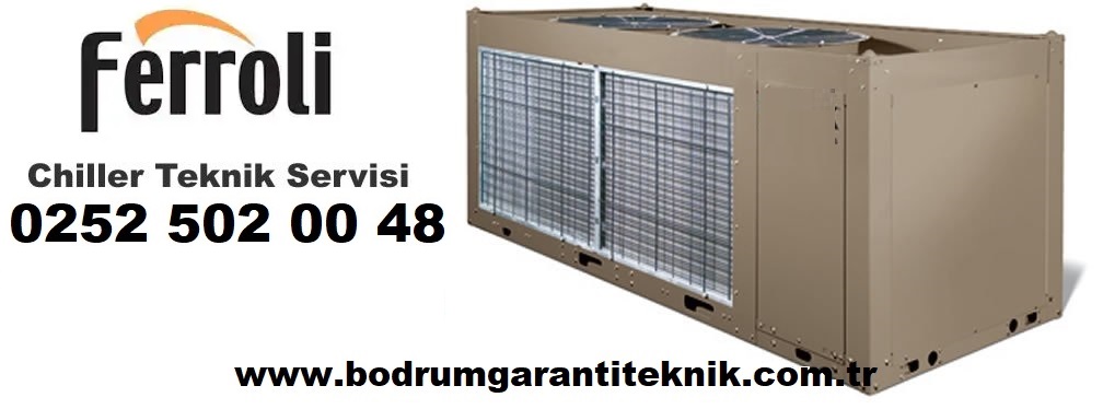 Bodrum Ferroli Chiller Servisi